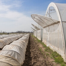 Agricultural