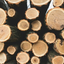 Woods (Branches / Bricks)